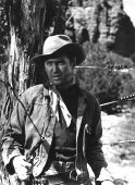 broken arrow,james stewart, western movie database, internet movie database, westerns,western movie poster